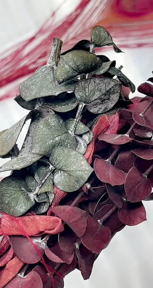 Purification and Energy Grounding  Red and Green Eucalyptus 6 inch Smudge Stick
