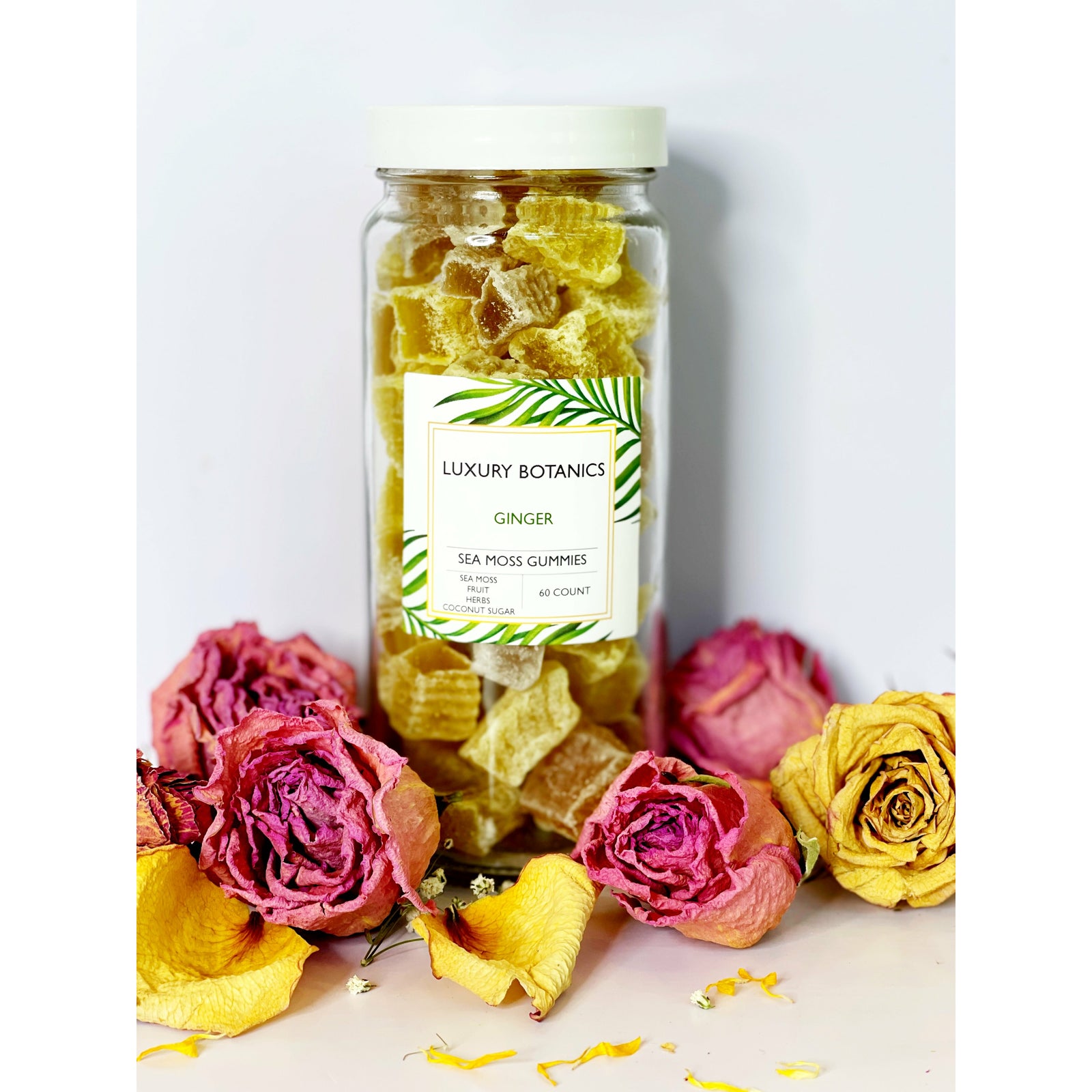 Antique White SEA MOSS GUMMIES 60 COUNT