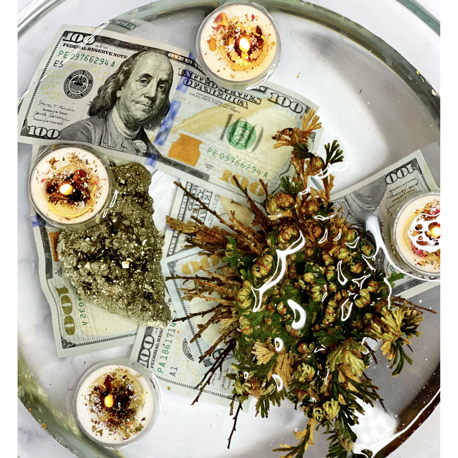 Gray Rose of Jericho